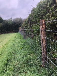 Fencing 1