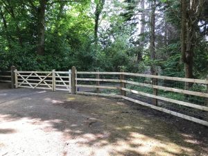 Fencing 2