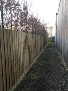 Fencing 4