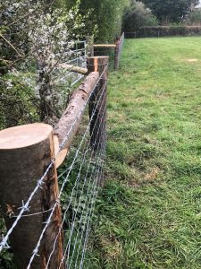 Fencing 6