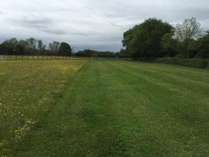 Land Management 1